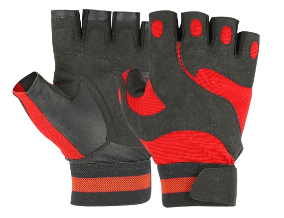 Premium Fitness Gloves
